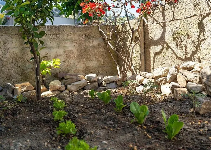 Daire Infinity Iii - Tranquil Retreat In Kos Lagoudi Zia